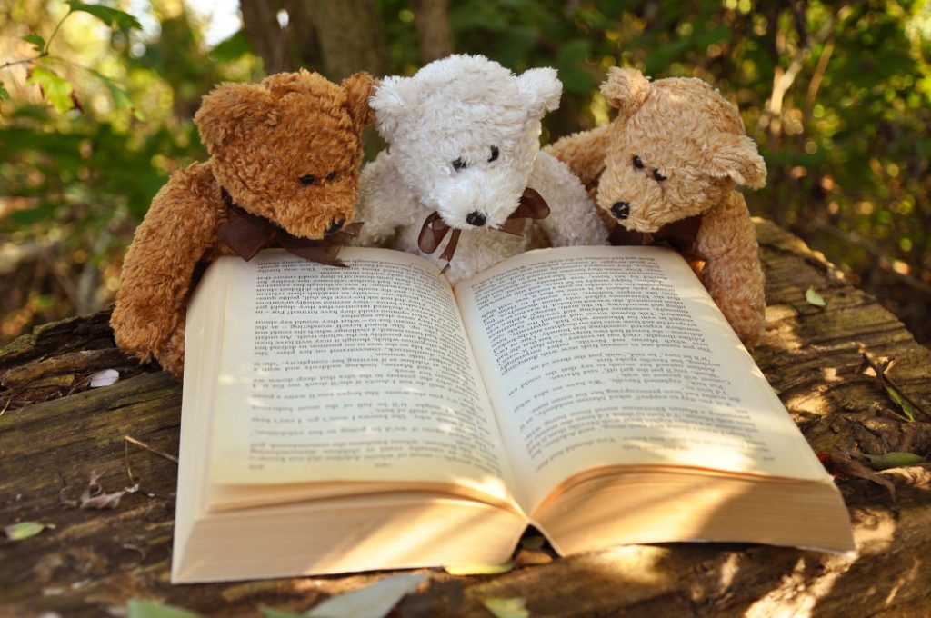 3 teddy bears reading a book in the woods